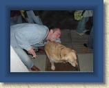 Helloweenparty 2004 - 060 * 640 x 480 * (43KB)